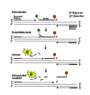 9001cc金沙以诚为本(中国)有限公司官网