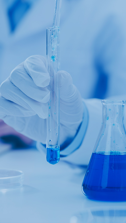 9001cc金沙以诚为本(中国)有限公司官网