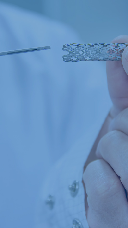 9001cc金沙以诚为本(中国)有限公司官网